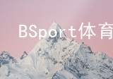 BSport体育BSport体育软件