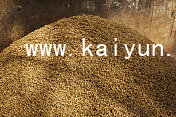 www.kaiyun.appwww.kaiyun.appapp下载