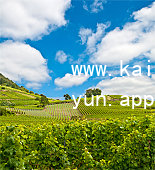 www.kaiyun.appwww.kaiyun.app客户端