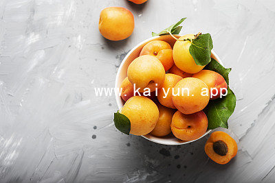 www.kaiyun.appwww.kaiyun.app苹果版