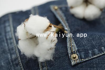 www.kaiyun.appwww.kaiyun.app网站