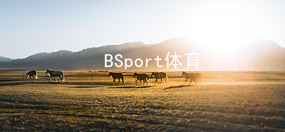 BSport体育BSport体育软件