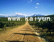 www.kaiyun.appwww.kaiyun.app软件