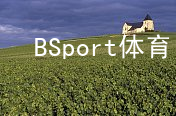 BSport体育BSport体育官方网站