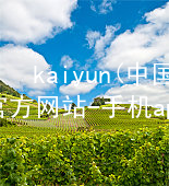 kaiyun(中国)app官方网站-手机app下载www.kaiyun.comapp下载