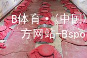B体育·(中国)官方网站-BsportBsport体育官方入口游戏