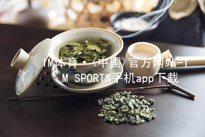 IM体育·(中国)官方网站-IM SPORTS手机app下载IM体育手机APP入口