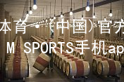 IM体育·(中国)官方网站-IM SPORTS手机app下载IM体育官网下载软件