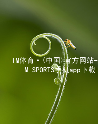 IM体育·(中国)官方网站-IM SPORTS手机app下载IM体育平台APP登录