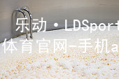 乐动·LDSports(中国)体育官网-手机app下载乐动·LDSports推荐