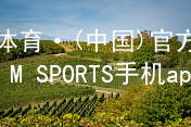 IM体育·(中国)官方网站-IM SPORTS手机app下载IM体育手机APP官网