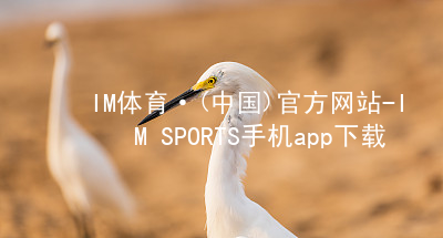 IM体育·(中国)官方网站-IM SPORTS手机app下载IM体育官网下载最新地址