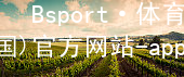 Bsport·体育(中国)官方网站-app下载Bsport体育·(中国)官网网页版