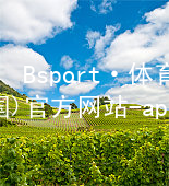 Bsport·体育(中国)官方网站-app下载Bsport体育·(中国)官网游戏