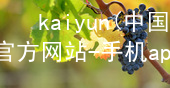 kaiyun(中国)app官方网站-手机app下载kaiyun官方网站哪个好