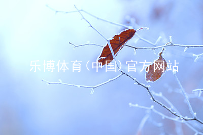 乐博体育(中国)官方网站乐博体育官方app下载ios版