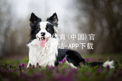 乐博体育(中国)官方网站-APP下载乐博体育app下载