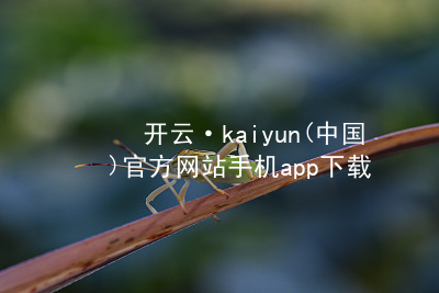 开云·kaiyun(中国)官方网站手机app下载kaiyun官方网站官方网站