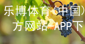 乐博体育(中国)官方网站-APP下载乐博体育登录