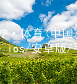 江南APP·体育(中国)官方网站 - ios/安卓版/手机APP下载江南APPapp下载登录