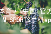 IM体育·(中国)官方网站-IM SPORTS手机app下载IM体育官网入口官方版