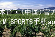 IM体育·(中国)官方网站-IM SPORTS手机app下载IM体育最新官网安装