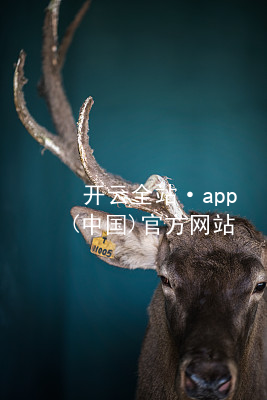 开云全站·app(中国)官方网站kaiyun.kaiyun.comapp下载