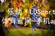 乐动·LDSports(中国)体育官网-手机app下载网页版版本