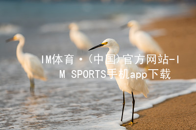 IM体育·(中国)官方网站-IM SPORTS手机app下载IM体育平台APP全站