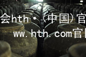 华体会hth·(中国)官方网站-www.hth.com官网app下载HTH官网地址官网