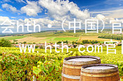 华体会hth·(中国)官方网站-www.hth.com官网app下载hthcom华体会ios版