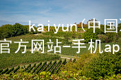 kaiyun(中国)app官方网站-手机app下载www.kaiyun.app游戏