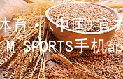 IM体育·(中国)官方网站-IM SPORTS手机app下载IM体育登陆手机版