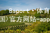 Bsport·体育(中国)官方网站-app下载bsport体育下载推荐
