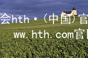 华体会hth·(中国)官方网站-www.hth.com官网app下载HTH官网下载APP注册