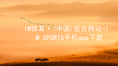 IM体育·(中国)官方网站-IM SPORTS手机app下载IM体育官方版