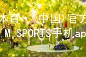 IM体育·(中国)官方网站-IM SPORTS手机app下载IM体育平台APP安卓版