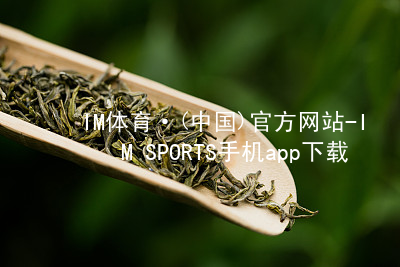 IM体育·(中国)官方网站-IM SPORTS手机app下载IMTIYU游戏
