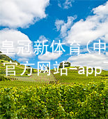 皇冠新体育(中国)官方网站-app下载皇冠新体育app下载游戏