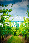 开云·kaiyun(中国)官方网站手机app下载kaiyun官方网站最新