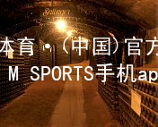 IM体育·(中国)官方网站-IM SPORTS手机app下载IM体育登陆官方版