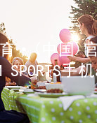 IM体育·(中国)官方网站-IM SPORTS手机app下载IM体育平台APP综合