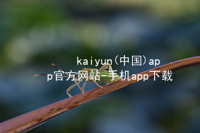 kaiyun(中国)app官方网站-手机app下载kaiyun官方网站网页版