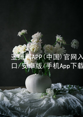 亚搏网APP(中国)官网入口/安卓版/手机App下载亚搏app下载平台