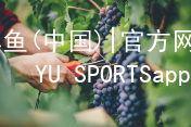 博鱼(中国)|官方网站-BOYU SPORTSapp下载博鱼体育安卓版