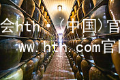 华体会hth·(中国)官方网站-www.hth.com官网app下载华体会hth登录