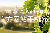 开云·kaiyun(中国)官方网站手机app下载开云下载软件