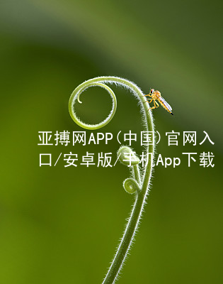 亚搏网APP(中国)官网入口/安卓版/手机App下载亚搏官网app下载入口平台