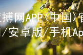 亚搏网APP(中国)官网入口/安卓版/手机App下载亚搏官网app下载入口可靠