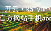 开云·kaiyun(中国)官方网站手机app下载开云官网app下载网址